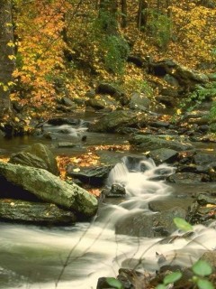 Other Wallpapers 0943